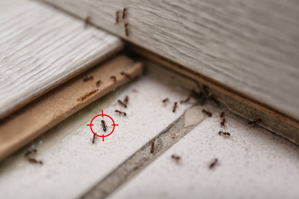  Mazomanie, WI Pest Control Pros