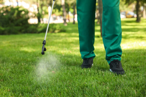 Best Emergency Pest Control  in Mazomanie, WI