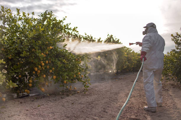 Best Local Pest Control Services  in Mazomanie, WI