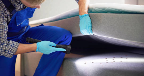 Best Affordable Pest Control Services  in Mazomanie, WI