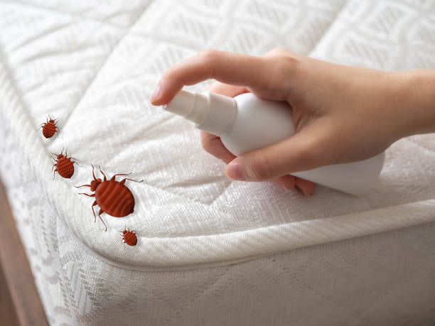 Trusted Mazomanie, WI Pest Control Experts